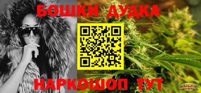 крисы Ставрополь